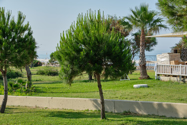 Similar image 21516626