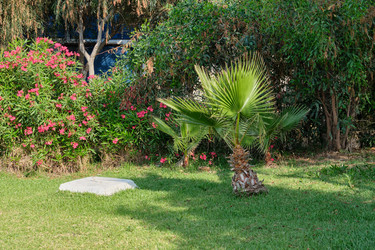 Similar image 21519892