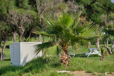 Similar image 21519893