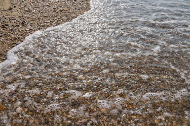 Similar image 21516628