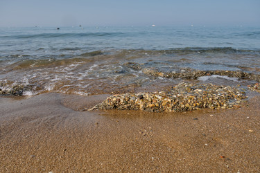 Similar image 21516646