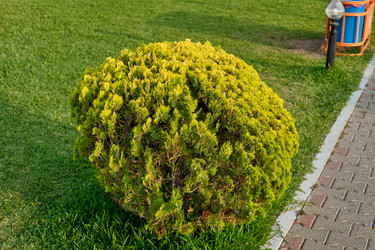 Similar image 21516864