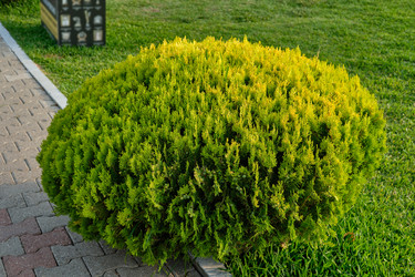 Similar image 21516647