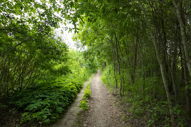 Similar image 21516648