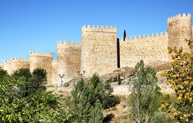 Similar image 21517513