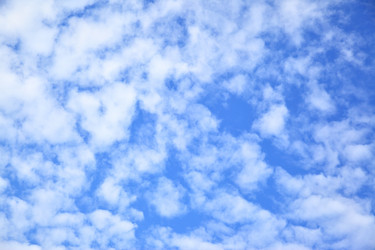 Similar image 21517311