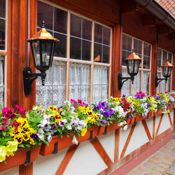 Similar image 21517591