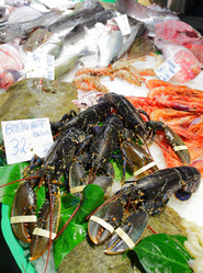 Similar image 21517086