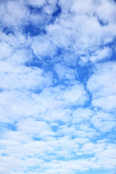 Similar image 21517343