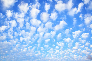 Similar image 21517356