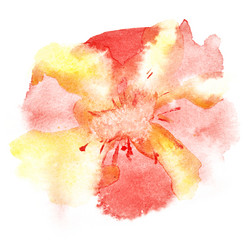 Similar image 21517374