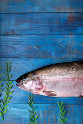 Similar image 21516746