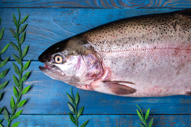 Similar image 21516747