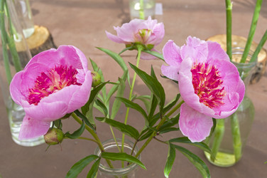 Similar image 21516868