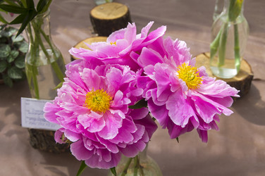 Similar image 21516869