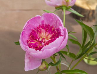 Similar image 21516870