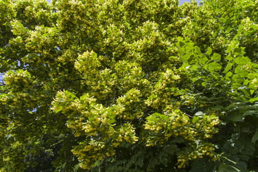 Similar image 21516871