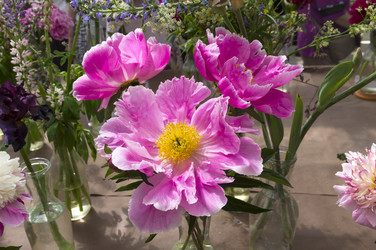 Similar image 21516872