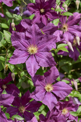 Similar image 21516875