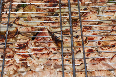 Similar image 21519895