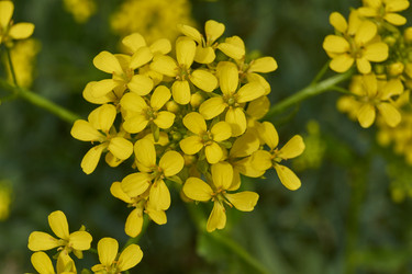 Similar image 21516877