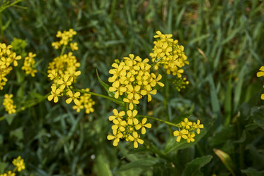 Similar image 21517902