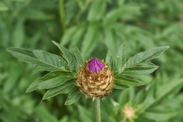 Similar image 21516879