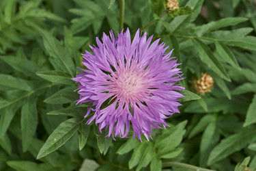 Similar image 21516880