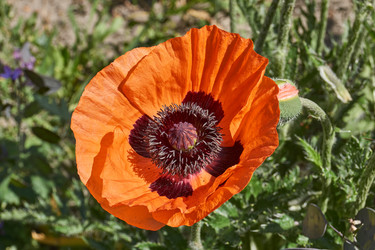 Similar image 21516881