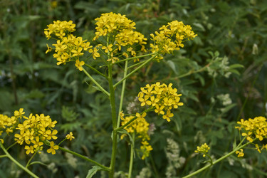 Similar image 21517903