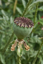 Similar image 21516882