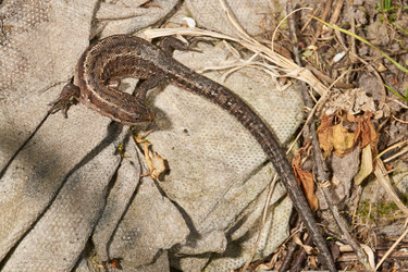 Similar image 21519577