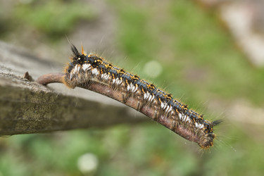 Similar image 21519578