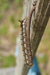 Similar image 21518650