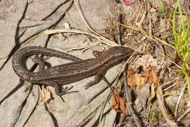 Similar image 21517904