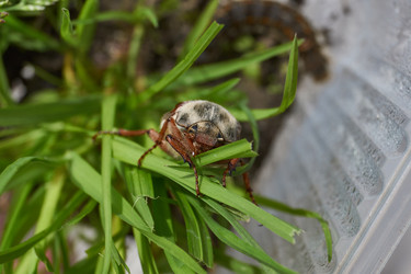 Similar image 21516889