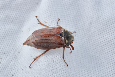 Similar image 21518651