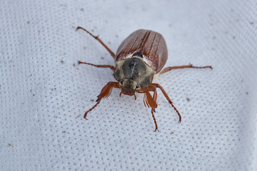 Similar image 21516890