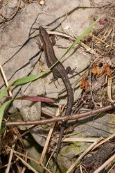 Similar image 21518653