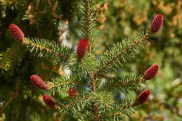 Similar image 21516892