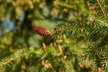 Similar image 21516893