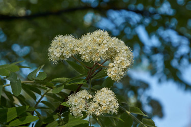 Similar image 21516894