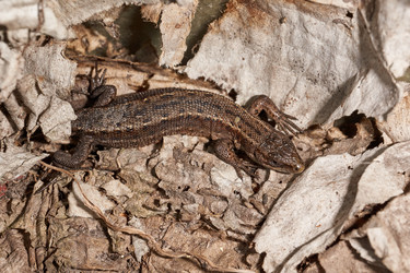 Similar image 21518654