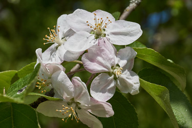 Similar image 21519580