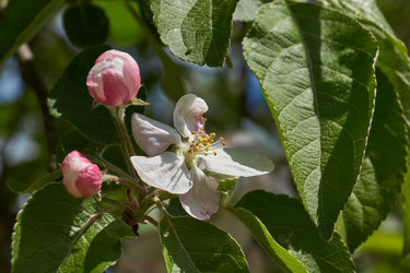 Similar image 21516896