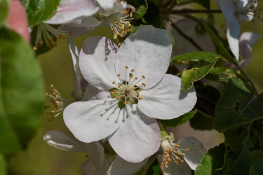 Similar image 21516897