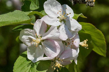 Similar image 21519897