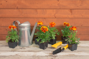 Similar image 21516898