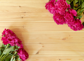 Similar image 21516912