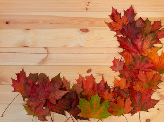 Similar image 21516920